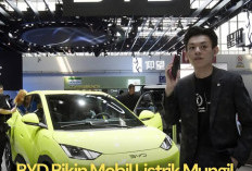 Penjualan Mobil Listrik BYD Mengalami Peningkatan