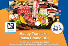 Happy Transaksi Pakai Promo BRI 