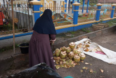 Dogan Kepala Merah Laris di Pasaran, Ternyata Ini Manfaatnya untuk Kesehatan