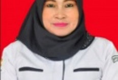 Kenali Apa itu Malaria