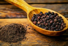 Kenali, Manfaat Tanaman Obat Lada Hitam yang Jarang Diketahui