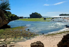 Pantai Syahdu Gunung Kidul, Menawarkan Pemandangan Eksotis Dengan Pasir Putih Yang Lembut dan Air Laut Yang Je