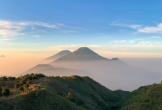 Berikut Rekomendasi Bagi Ingin Mendaki Gunung, Cek Yuk Tahun 2025 Ini