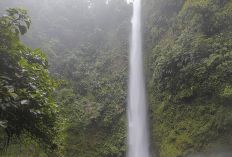 Update Rekomendasi Destinasi Wisata Alam di Pagar Alam, Cek Yuk