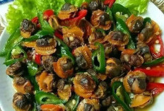 Ini Dia Resep dan Cara Membuat Oseng Kerang Dara, Sajian Lezat yang Menggugah Selera