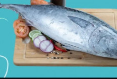Ini Dia Manfaat Ikan Tuna Untuk Kesehatan Tubuh, Salah Satunya Baik Untuk Otak 