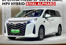 BYD Pasarkan BYD Xia, Siap Menantang Alphard