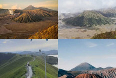 Liburan ! Yuk Jelajahi 7 Tempat Wisata Hits Kawasan Bromo Jawa Timur    