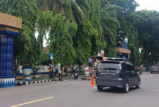 Aspal Baru, Marka Jalan Cet Ulang