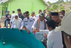 Bursah Zarnubi Kunjungi Lesung Batu