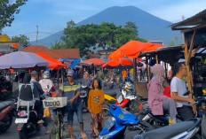 Harga Tomat Melambung, Cabe Turun