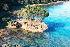 Pantai Batu Kapal Miliki Keindahan Alam yang Alami