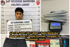 Satres Narkoba Polres Lahat Tangkap Terduga Pengedar Ganja di Muara Siban