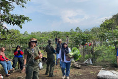 Ingin Jadi Proyek Percontohan Kabupaten, Kades Muara Maung Tinjau Desa Pagar Dewa