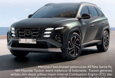 All New Sante Fe Jadi Model Kedua Nyundai di Indonesia, Ini Harganya