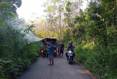  Gotong Royong Semprot Rumput di Pinggir Jalan