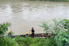 Aksi Heroik PLN ULP Muara Enim Pulihkan Jaringan SUTM di Sungai Tanjung Enim