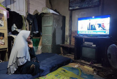 PLN Siap Listriki 780 Ribu Rumah Tangga Lewat Program Lisdes 2025–2029 di RUPTL Baru