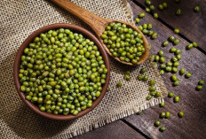 Tanaman Obat Kacang Hijau! Sumber Nutrisi Pembakar Lemak dan Perawatan Rambut Alami