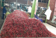 Jelang Idul Adha Harga Cabe Stabil di Lahat