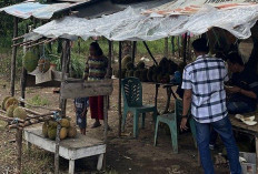 Musim Panen, Pedagang Durian Mulai Beunculan