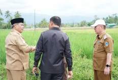 Irigasi Baru Diharapkan Dongkrak Produktivitas Sawah