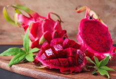 Buah Naga Menyimpan Banyak Manfaat Untuk Kesehatan Tubuh, Simak Penjelasannya!