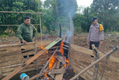 Polsek Pajar Bulan Bongkar Arena Sabung Ayam di Desa Pulau Panggung