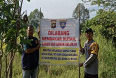  Musim Kemarau, Jangan Buka Lahan Cara Membakar Ya, Bahaya dan Ada Sanksi