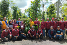 Beri Inovasi Tanam Kopi Putih