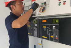 PLN Hadirkan Listrik Andal untuk Tambak Udang di Bengkulu, Kado Spesial Jelang Hari Pelanggan Nasional