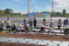 Pemkab Lahat Dukung Petani untuk Banyak Menghasilkan Produksi 