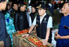 Pj Gubernur Sidak Dua Pasar Induk