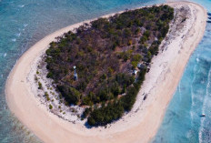 Pulau Tabuhan Banyuwangi, Tempat Yang Ideal untuk Pelarian Santai dan Eksplorasi Alam