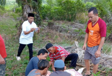 Masjid Darul Muqomah Kurban 1 Ekor Sapi 