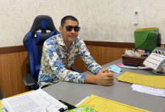 DLH Lahat Siapkan 13.000 Tabebuya Siap Tanam