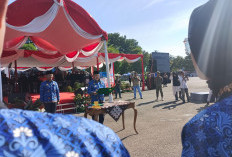 Bursah Zarnubi : PPPK Jangan Mengajukan Pindah, Nekat Dianggap Undurkan Diri 