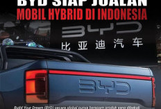BYD Miliki Beragam Produk, Dibekali Dengan Teknologi Mesin Hybrid Hingga Listrik Murni