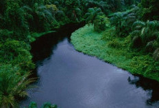 Sungai Ini Paling Berbahaya di Dunia, Kedalaman Mencapai 220 Meter