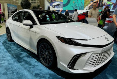 Lonjakan Penjualan Mobil Hybrid di Indonesia: Jembatan Menuju Elektrifikasi Penuh dan Solusi Efisiensi Jangka 