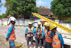 PLN ULP Baturaja pulihkan gangguan SuTM putus dengan aman dan cepat