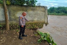 11 Rumah Warga di Bantaran Sungai Musi Empat Lawang Terancam Longsor