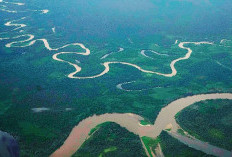 Deretan 3 Sungai Terpanjang di Indonesia 