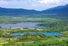 Tempat Wisata Lampung yang Lagi Hits dan Wajib Dikunjungi