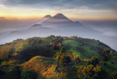 Puncak Gunung Prau, Menawarkan Panorama Alam Yang Menabjubkan