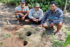 Waw! Ada Temuan Terbaru Megalit di Pasemah