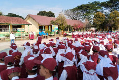 PLN Unit Layanan Pelanggan Lubuklinggau Gelar PLN Mengajar di SD Negeri 60 Lubuklinggau