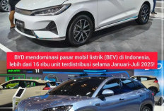Penjualan Segmen Mobil Listrik BEV Tembus 42.178 Unit per Januari Hingga Juli 2025, Meningkat Dibanding Sebelu