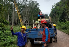 PLN ULP Kayu Agung Tingkatkan Keandalan Listrik di Tulung Selapan Lewat Uprating Penyulang Tenggiri