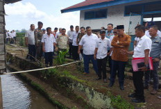 Bupati Bursah Survey Kelayakan Balai Benih Ikan